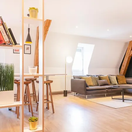Apartamento Le Chic De Serre - Sublime Loft Au Coeur De *