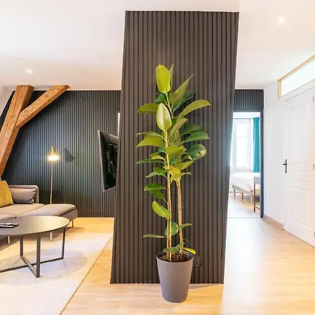 Le Chic De Serre - Sublime Loft Au Coeur De Appartamento Nancy