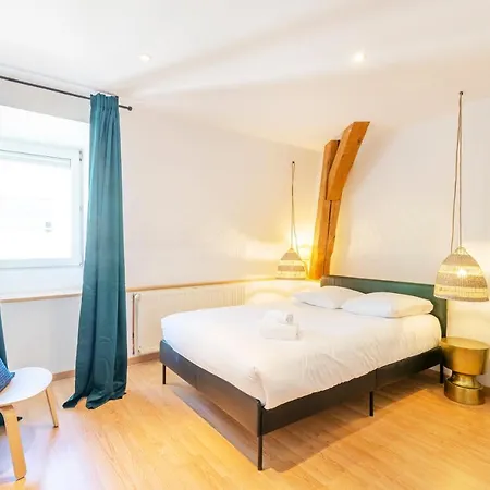 Appartamento Le Chic De Serre - Sublime Loft Au Coeur De Nancy