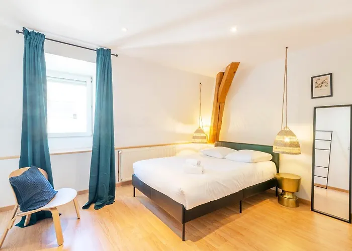 Appartement Le Chic De Serre Nancy